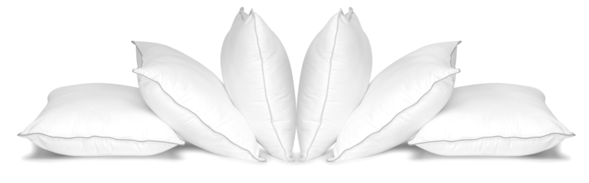 AdobeStock_19305823-1200x374.jpeg