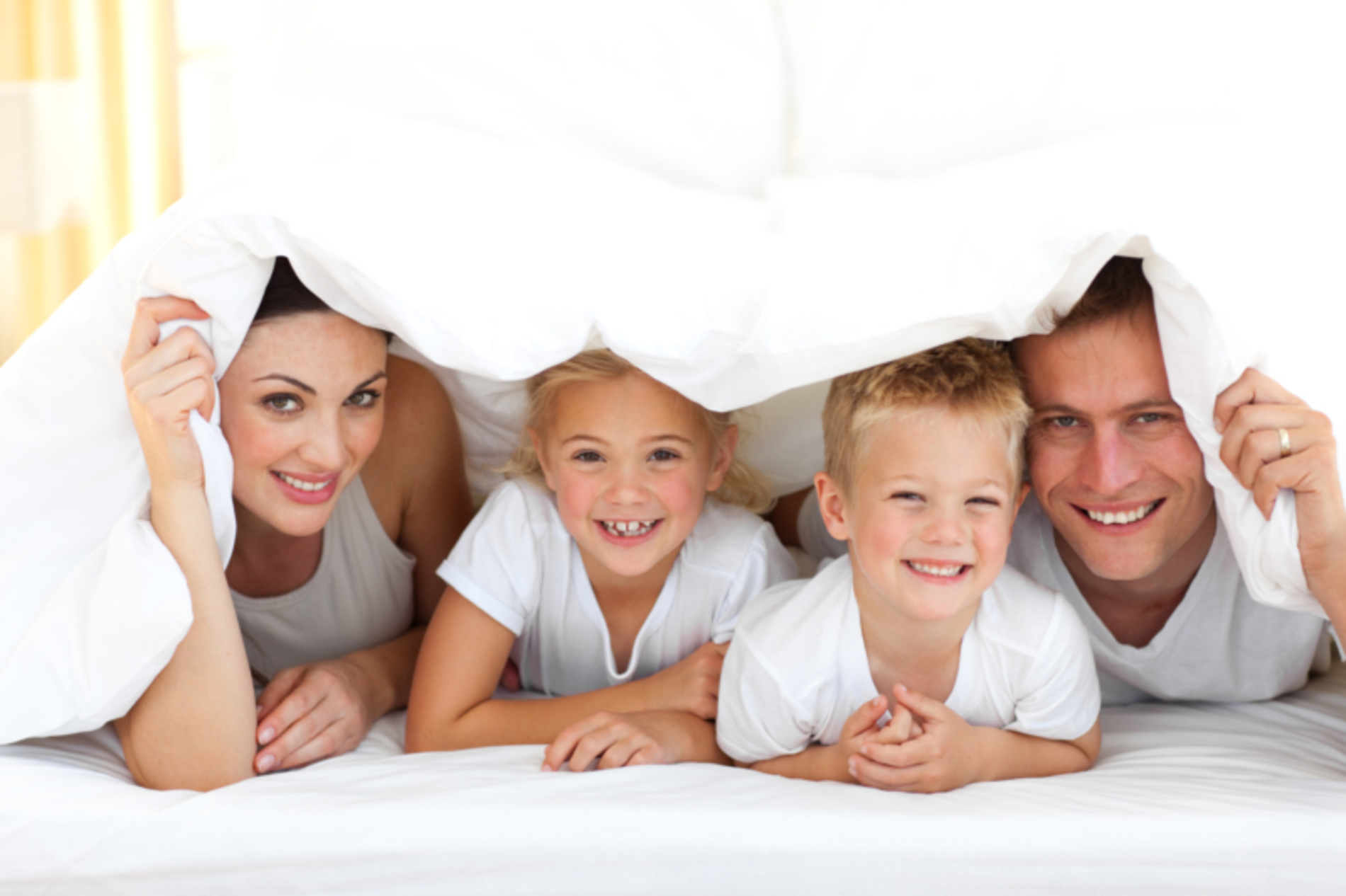 AdobeStock_19601438-800x533.jpeg