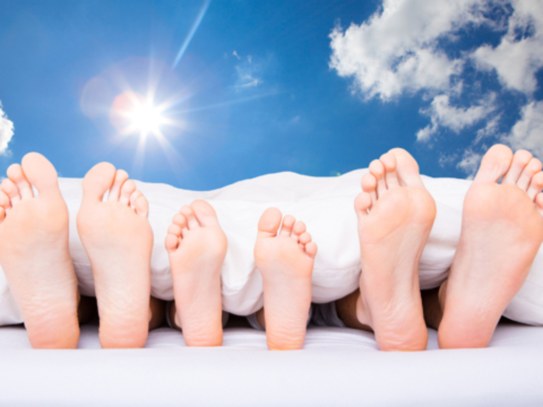 AdobeStock_49678646-480x360.jpeg