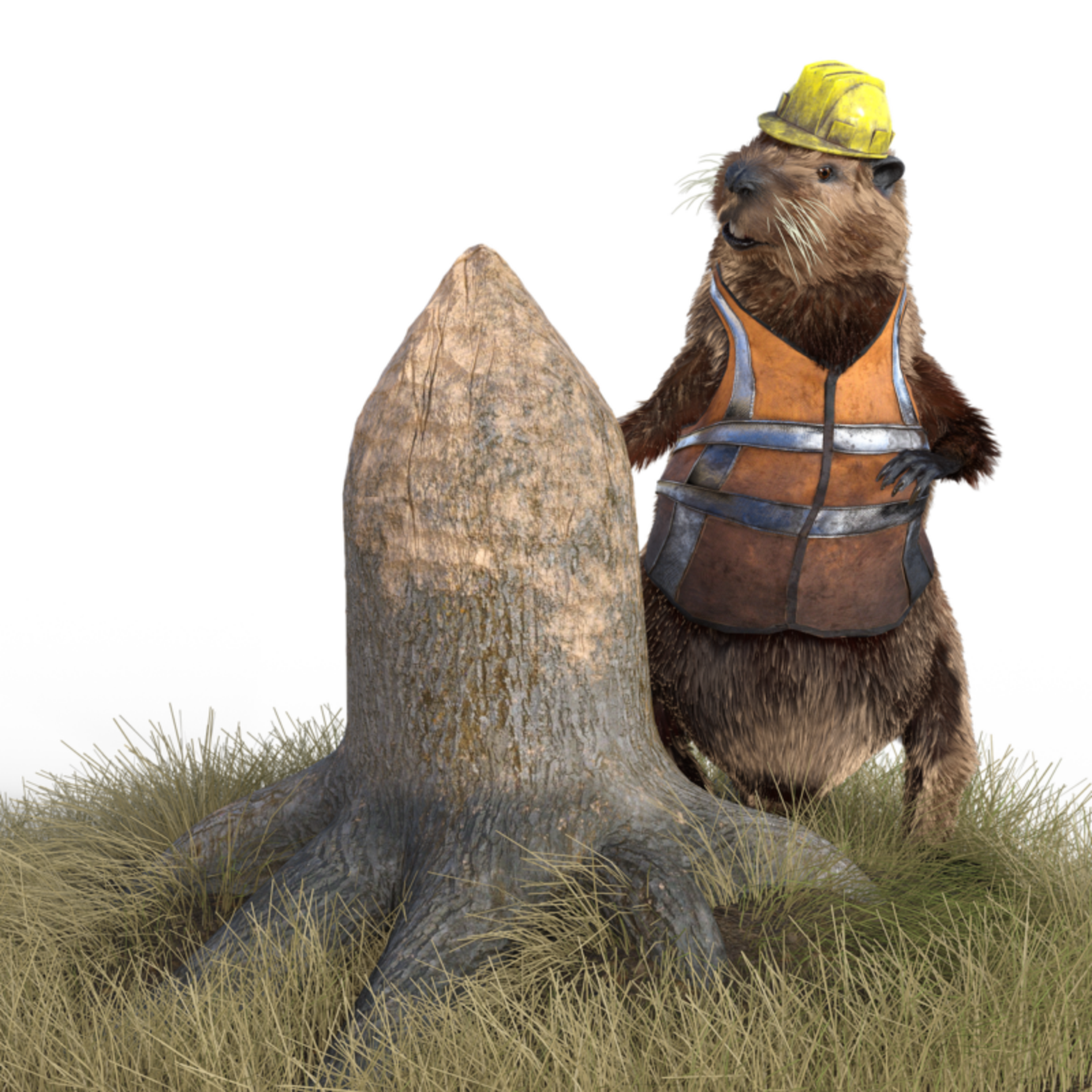 beaver-6915784_1280-800x800.png