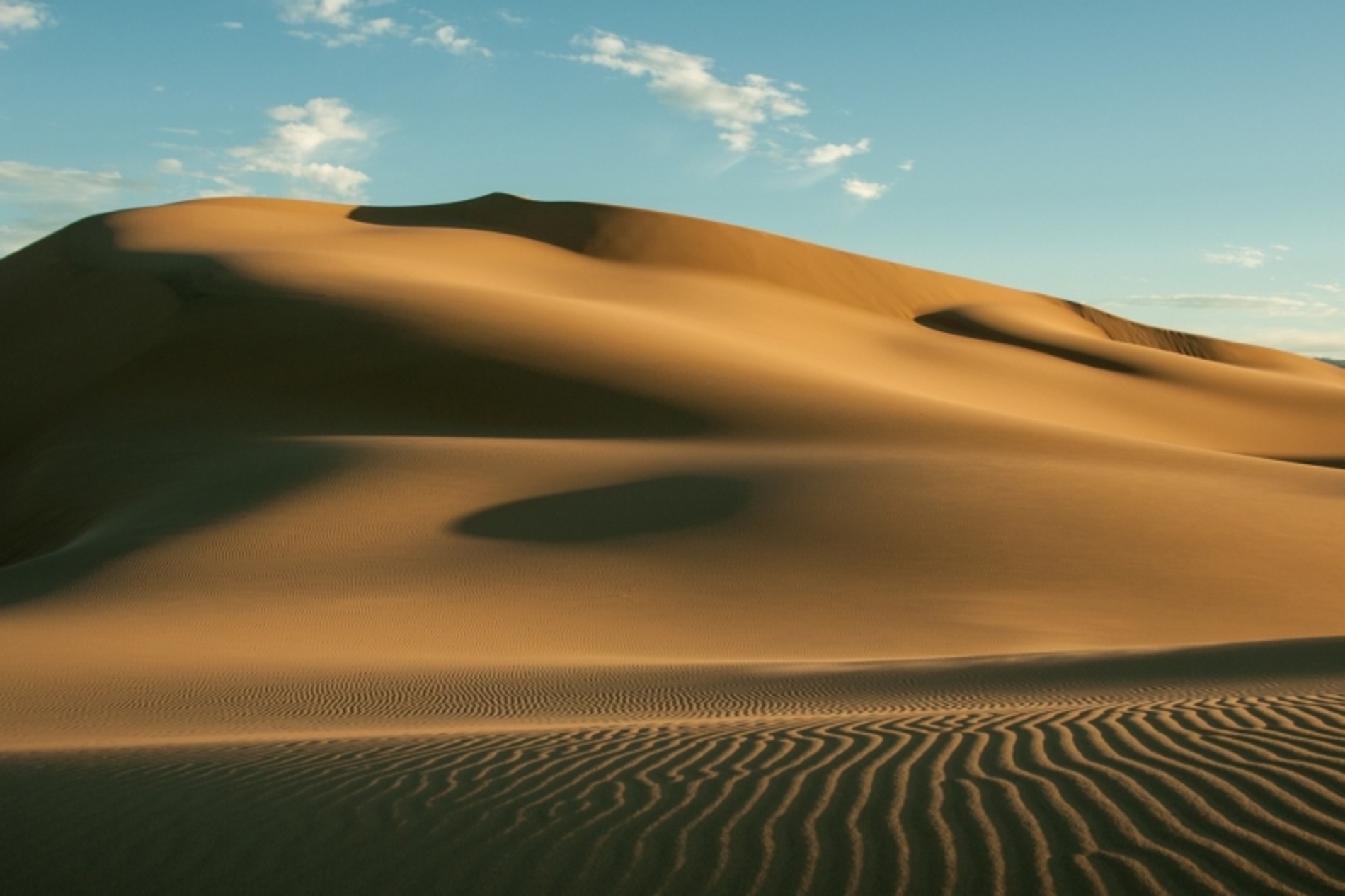 gobi-692640_1280-800x533.jpg
