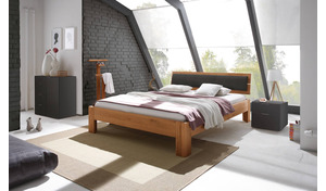 Hasena, Oak Line Modul 18