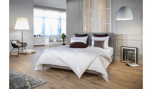 Treca Boxspringbett Modern