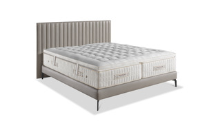 Treca Imperial Symbiose Prestige mit Schulterzone